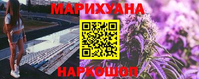 Альфа ПВП Будённовск