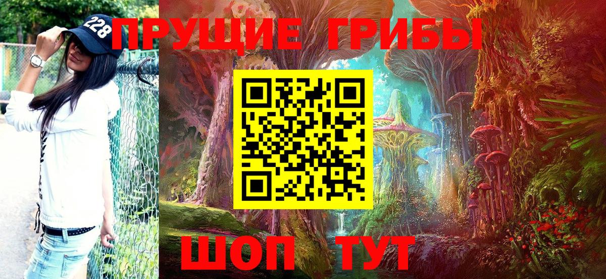 Галлюциногенные грибы ЛСД  Галлюциногенные грибы Psilocybe  закладка  Снежинск  Вход с VPN 