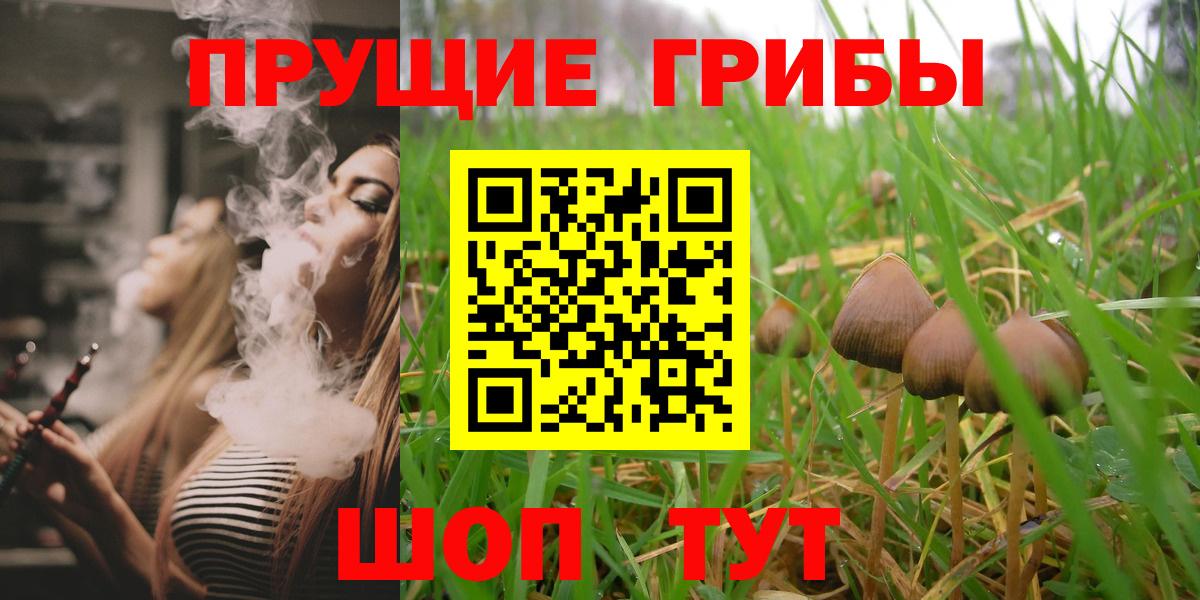 Псилоцибиновые грибы Psilocybe Снежинск
